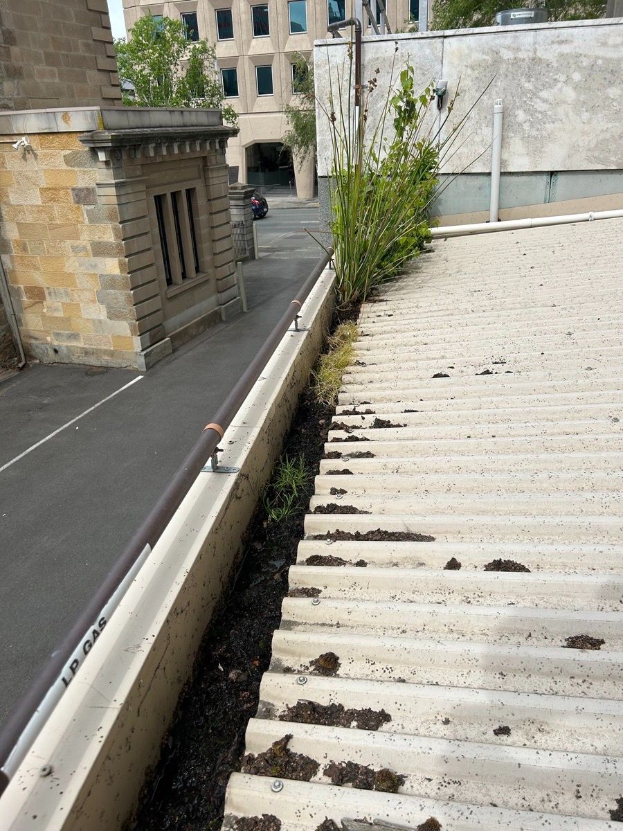 What is the best method for locating a roof leak?