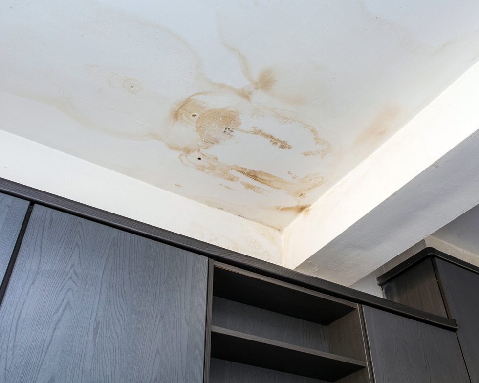 What is the average cost for roof leak repairs?